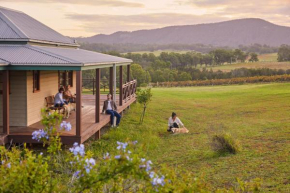 Hanging Tree Wines